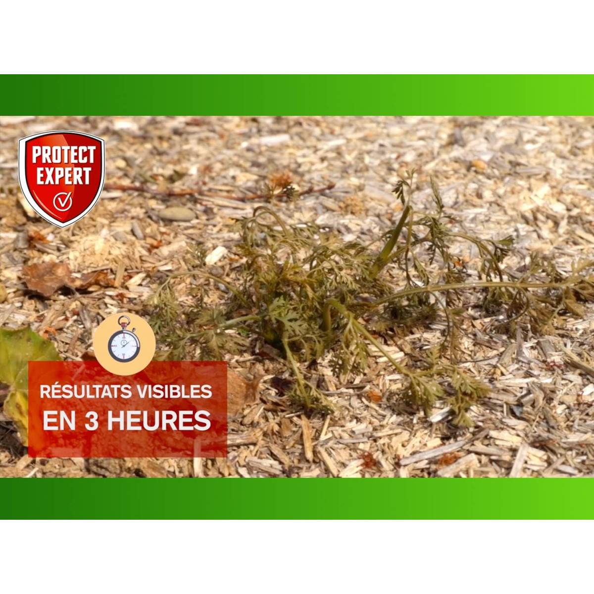 Protect Expert - PROTECT EXPERT - Désherbant Polyvalent Prêt-à-Verser 5L | Élimine Rapidement les Mauvaises Herbes | Format Économique - Image 6