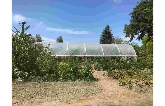 Serre tunnel de jardin - 27m² - 3,7 x 7,5 m - pieds arrondis - polyéthylène haute densité - aérations latérales - LES SERRES TONNEAU - Image 10