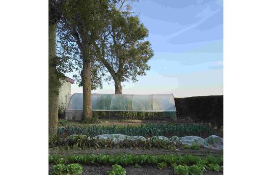 Serre tunnel de jardin - 27m² - 3,7 x 7,5 m - pieds arrondis - polyéthylène haute densité - aérations latérales - LES SERRES TONNEAU - Image 3