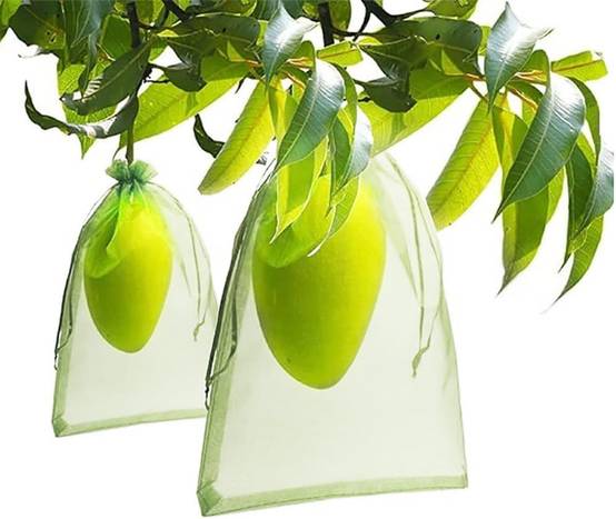 IntiMeg - 100 Pièces Sachet Protection Raisin Vert clair 13x18cm - IntiMeg - Image 2