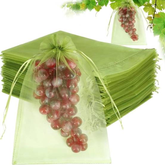 IntiMeg - 100 Pièces Sachet Protection Raisin Vert clair 13x18cm - IntiMeg - Image 1