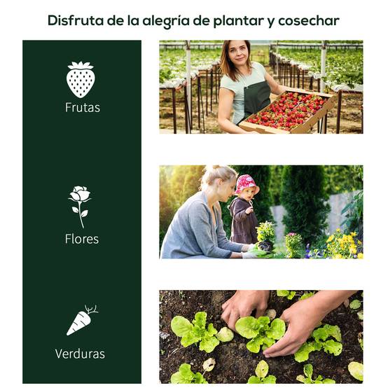 Serre d'extérieur tunnel 200 x 100 x 80 cm avec structure en acier et bâche PVC imperméable pour la culture de plantes et de tomates, transparente - Image 8