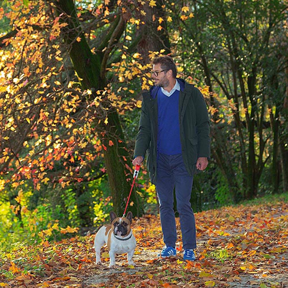 Ferplast - Ferplast Laisse Chien Enrouleur AMIGO MEDIUM, Laisse pour Chiens de Taille Moyenne jusqu'à 25 Kg. Cordon Extensible max 5 m. Bouton de verrouillage et - Image 3