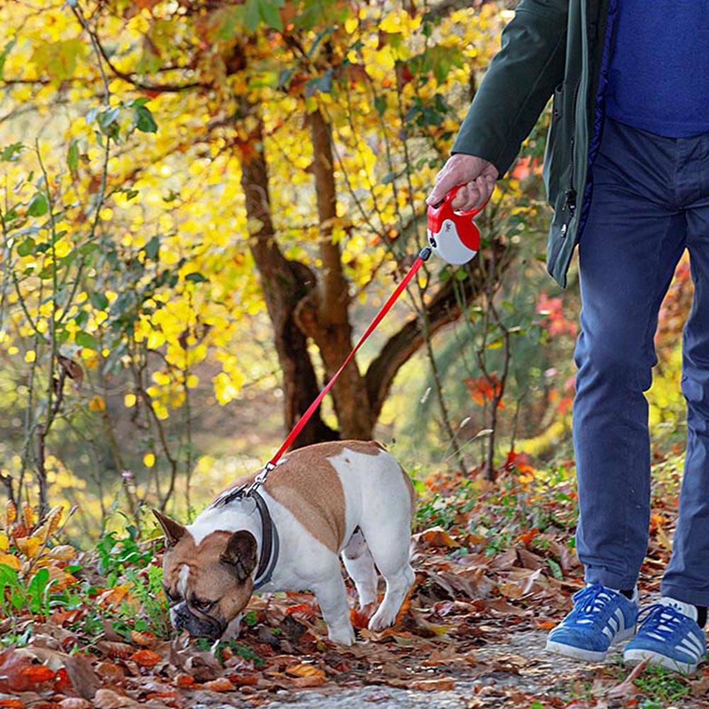 Ferplast - Ferplast Laisse Chien Enrouleur AMIGO MEDIUM, Laisse pour Chiens de Taille Moyenne jusqu'à 25 Kg. Cordon Extensible max 5 m. Bouton de verrouillage et - Image 4