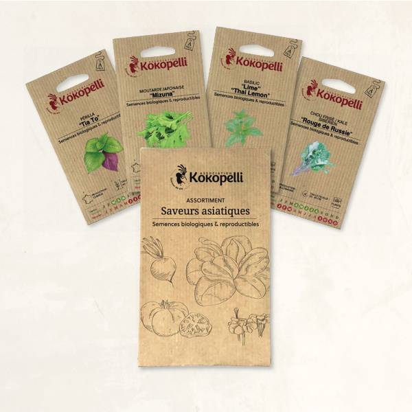 Saveurs asiatiques - 4 sachets de graines bio à semer - Image 2