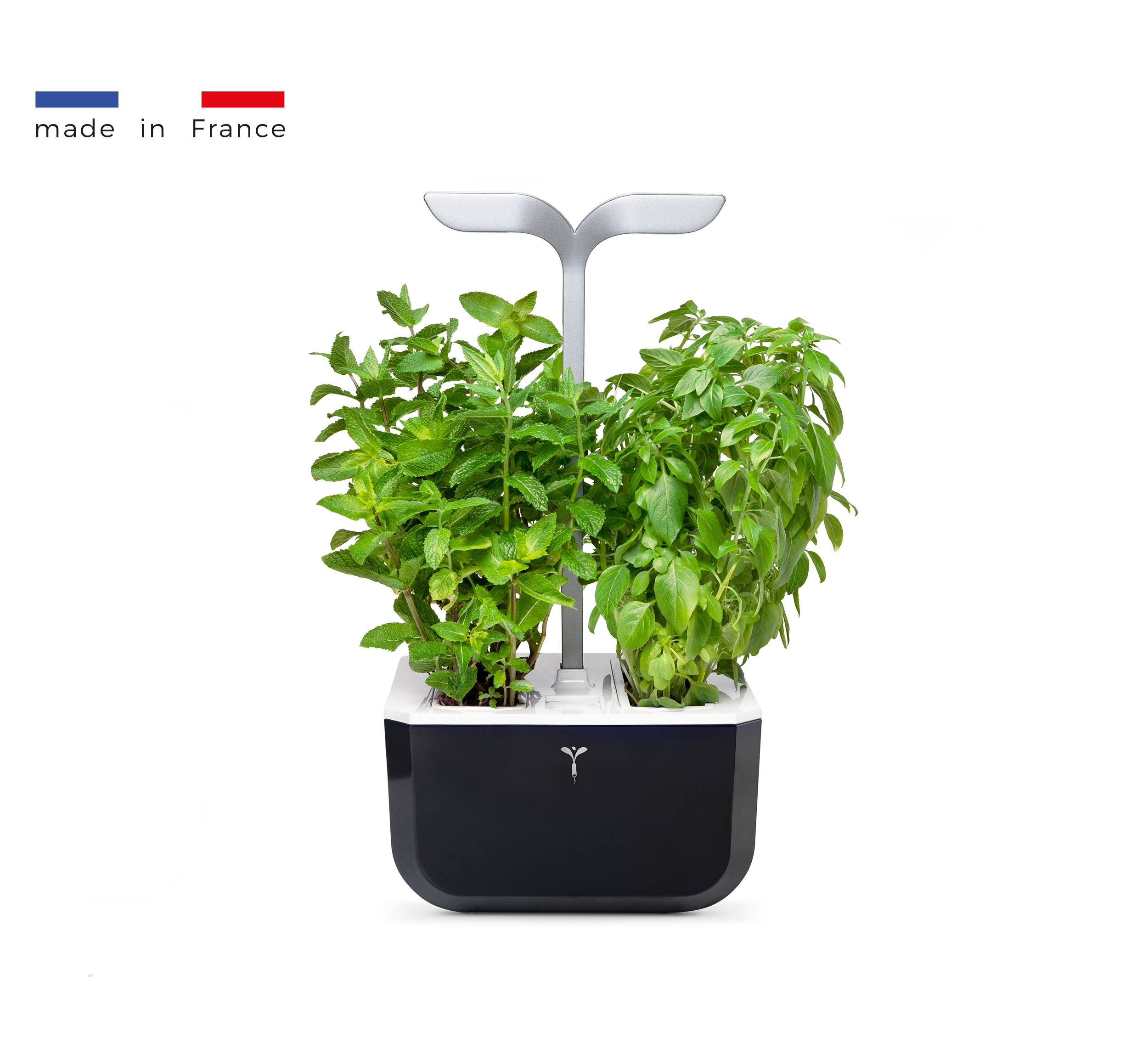 Veritable - Potager d'intérieur Autonome Véritable EXKY SMART Soft Black - Livré avec 2 Lingots - Véritable - Image 1