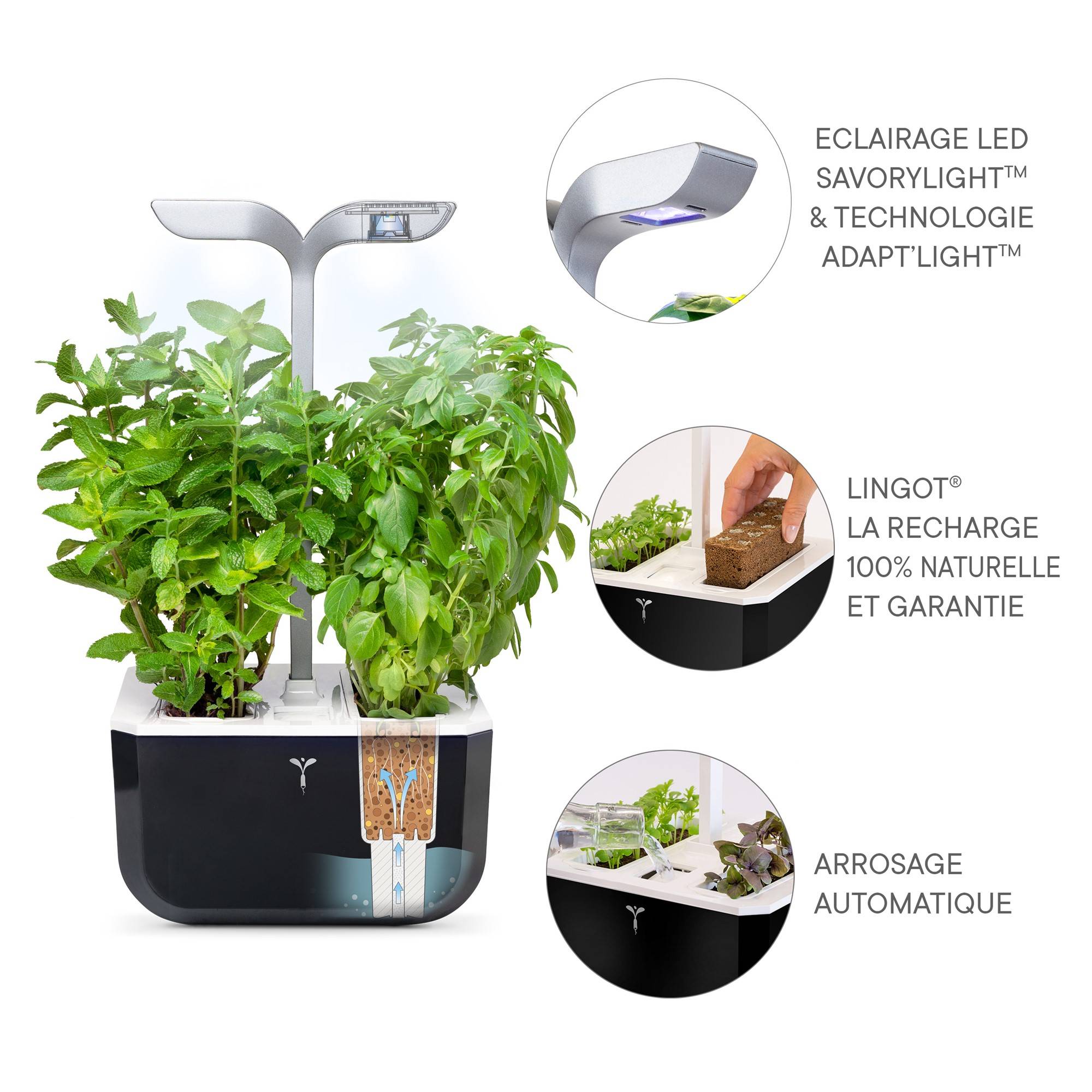 Veritable - Potager d'intérieur Autonome Véritable EXKY SMART Soft Black - Livré avec 2 Lingots - Véritable - Image 5