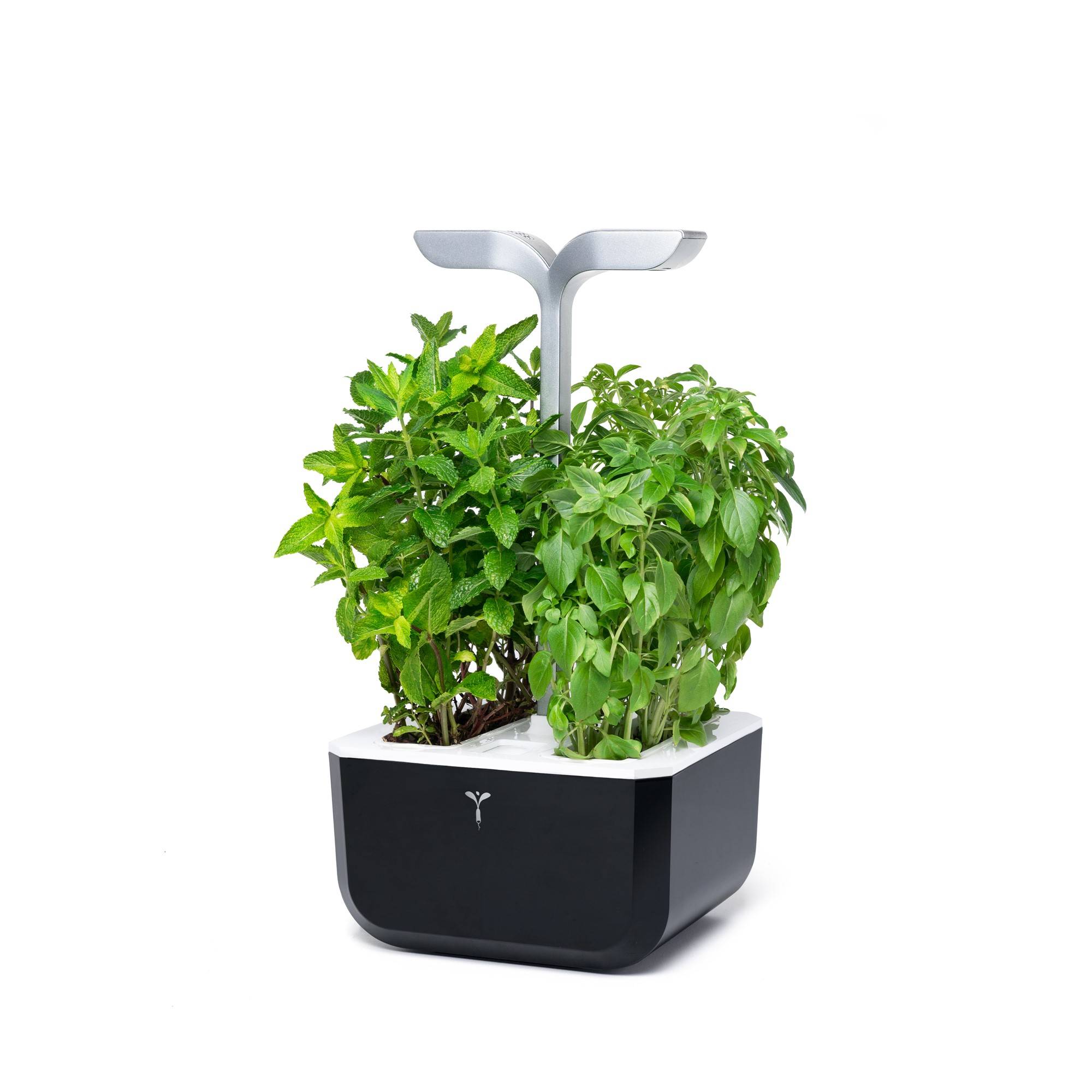 Veritable - Potager d'intérieur Autonome Véritable EXKY SMART Soft Black - Livré avec 2 Lingots - Véritable - Image 2