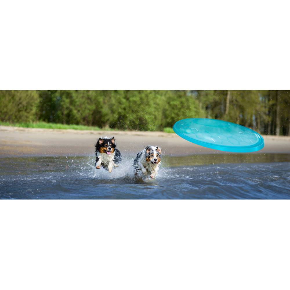 Animallparadise - Disque volant pop ø 23 cm jeux pour chiens ,turquoise. - Image 2