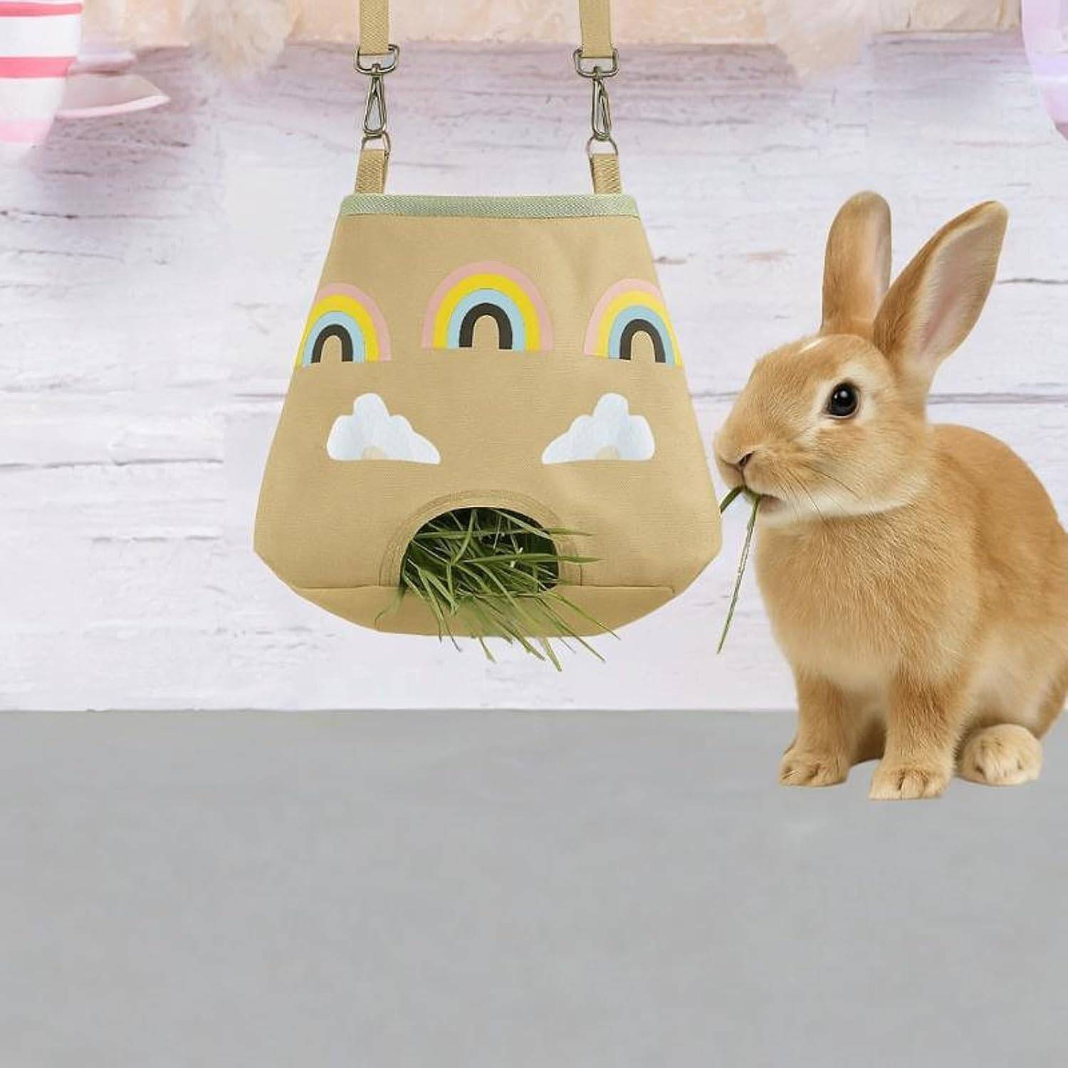 DtopbuyAge - Mangeoire suspendue pour lapin et petit animal - Pratique DtopbuyAge - Image 3
