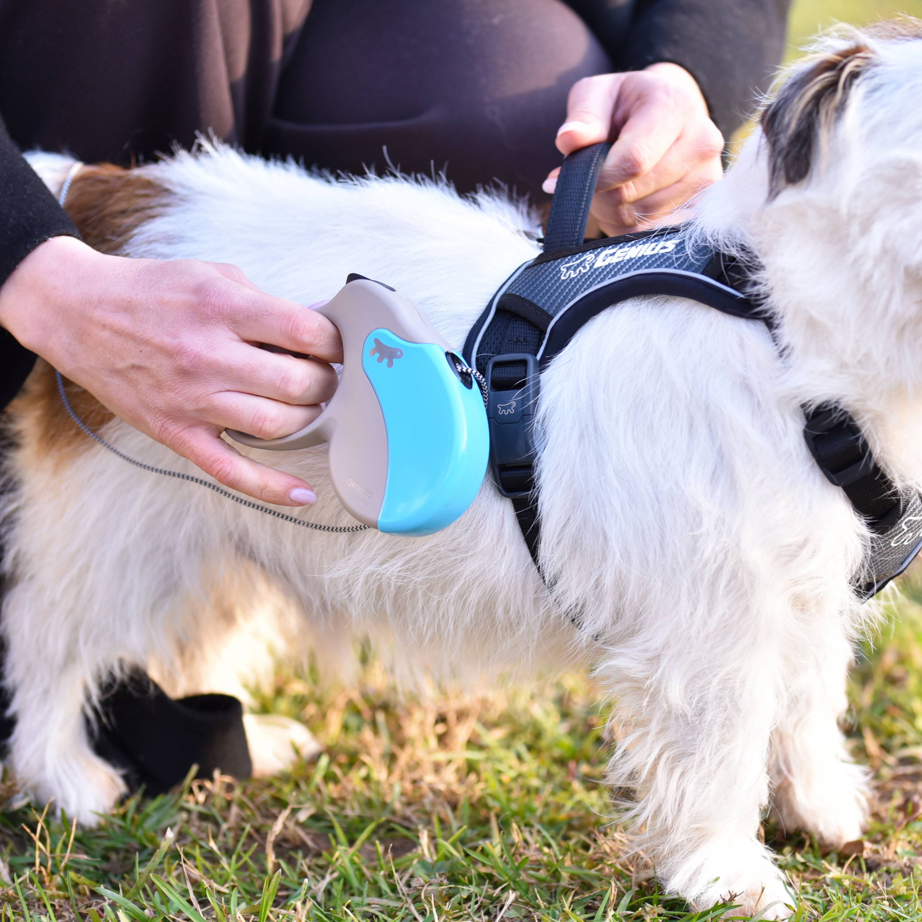 Ferplast - Ferplast Laisse Chien Enrouleur AMIGO MINI, laisse pour petits chiens jusqu'à 12 Kg. Cordon Extensible max 3 m. Bouton de verrouillage et de - Image 3