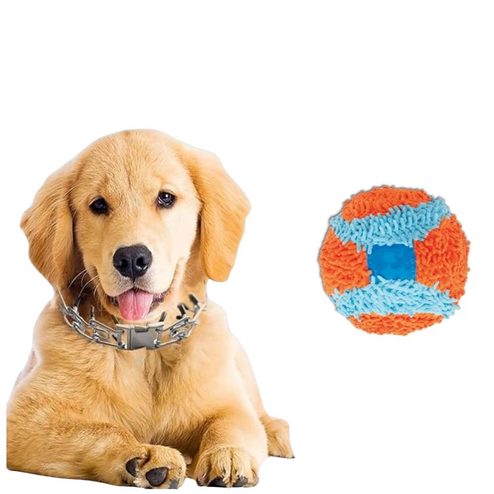 IntiMeg - Jouet pour chien balle rebondissante IntiMeg - Image 2