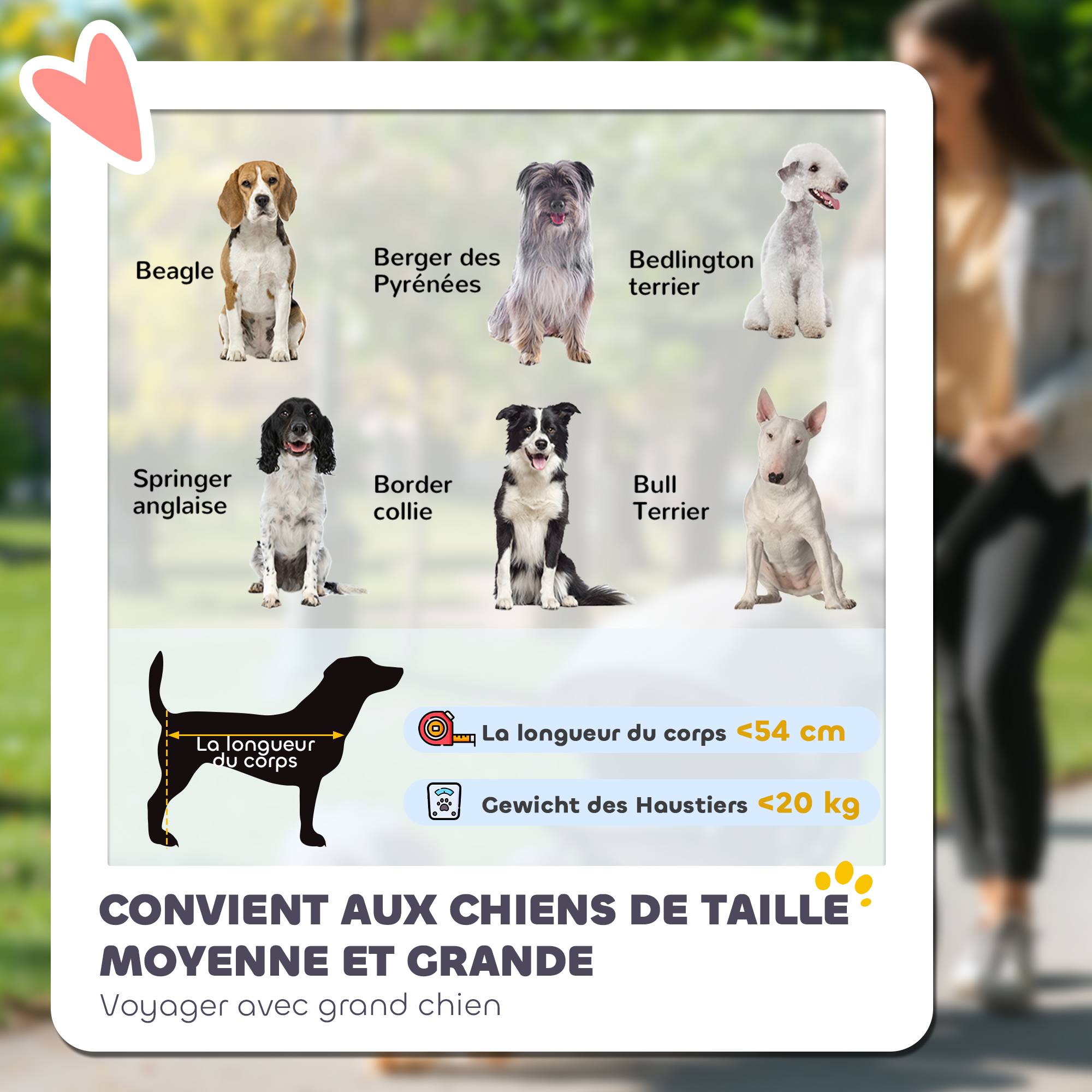 Poussette pour chien 3 roues avec pliage facile, sac de rangement, coussin souple, laisse de sécurité, gris - Image 6