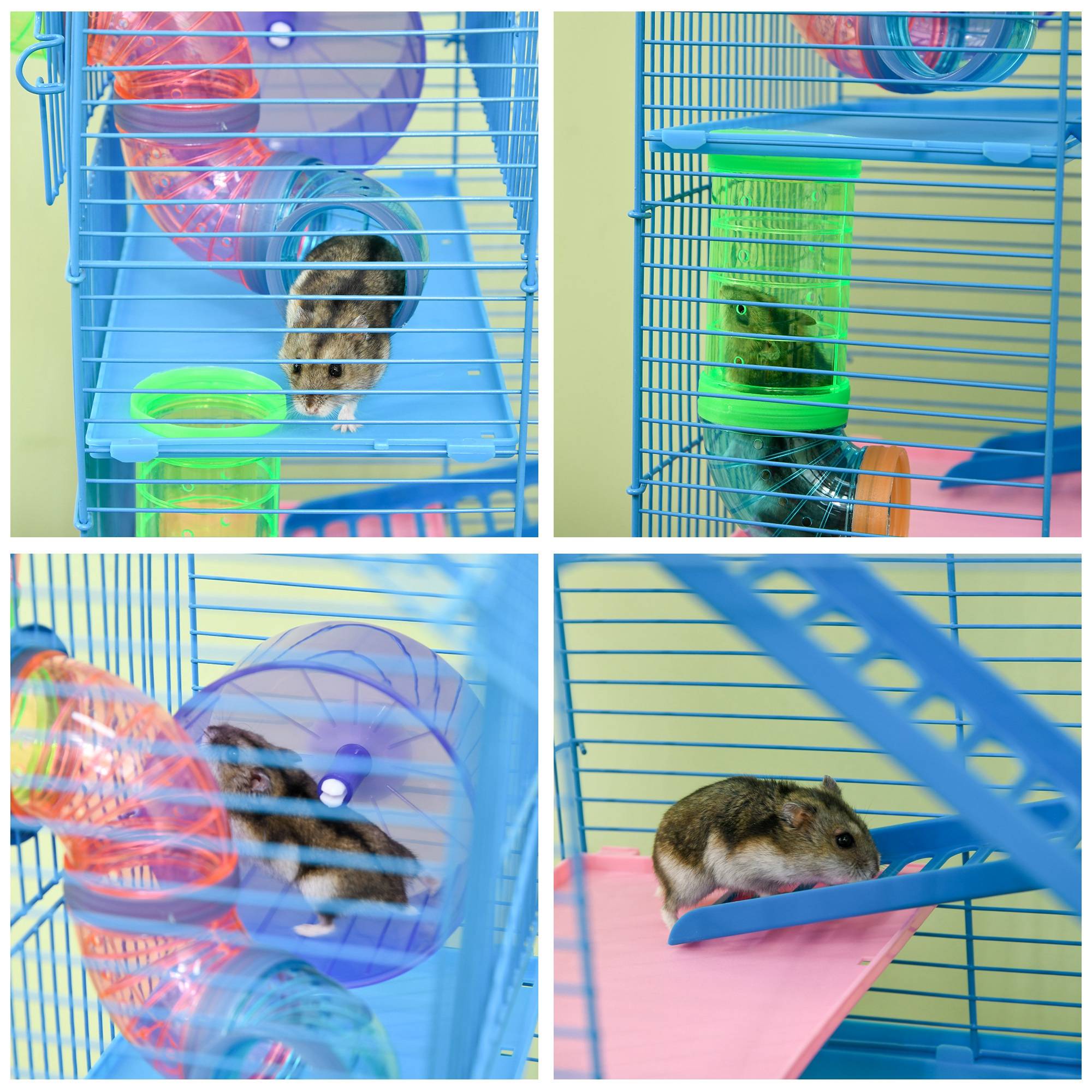 Sans Marque - Cage pour Hamster Souris Petit Animaux Rongeur avec Tunnel Mangeoire Roue Jouet 47 x 30 x 59 cm Bleu - Image 10