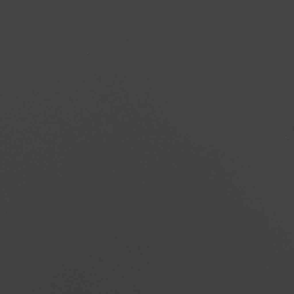 Potager surélevé Acier rectangulaire pour Jardin Terrasse Noir 200x80x40 cm – ComfortXL Outdoor Living - Image 8