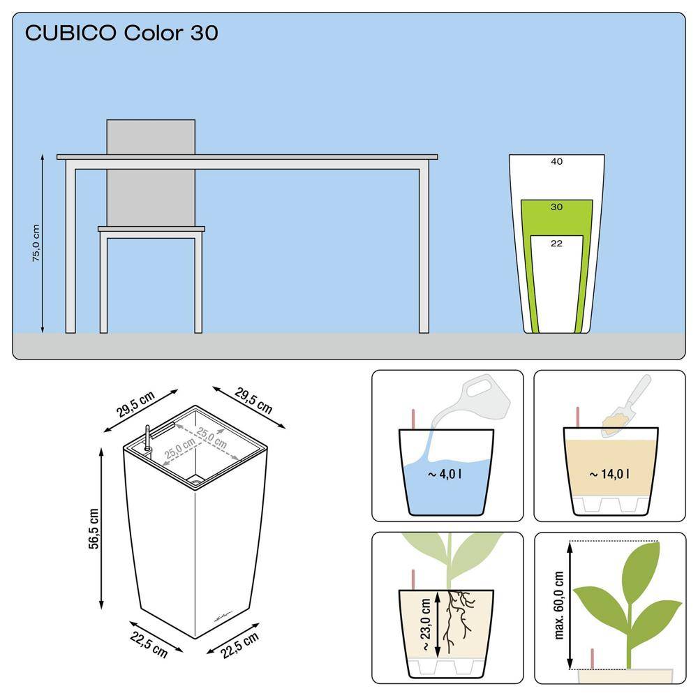 Lechuza - Cubico Color 30 - kit complet, muscade 4 L 56 cm Lechuza - Image 2