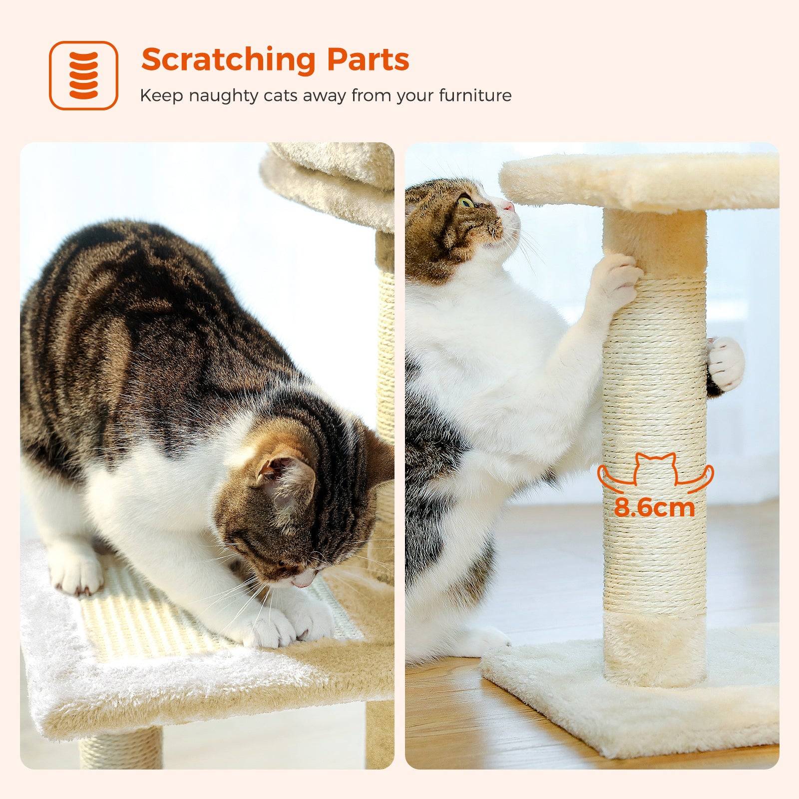 Petit Arbre à Chat 72 cm avec Hamac Gris PAWZ Road - Image 10