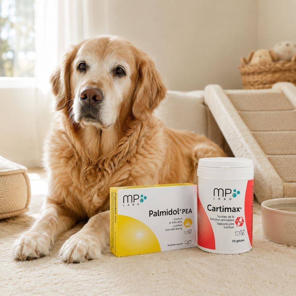 Pack Soutien Articulaire et Confort de Vie Chien & Chat MP LABO 1 pack - Image 3