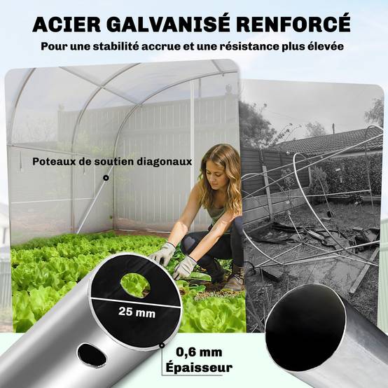 Serre Tunnel de Jardin 24 m², Acier Galvanisé, Portes et 2 Grandes Fenêtres, Bâche PE - Image 6