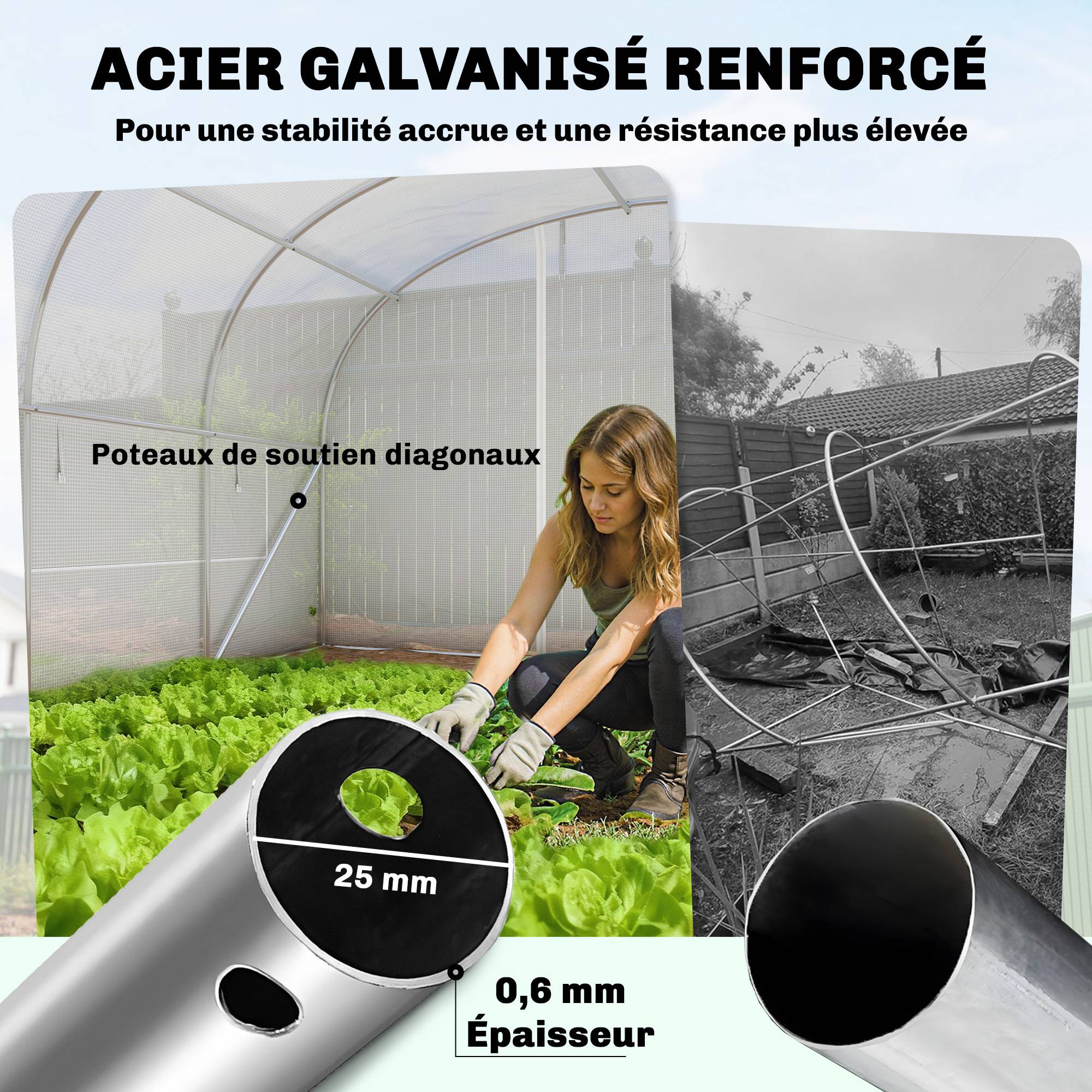 Serre Tunnel de Jardin 24 m², Acier Galvanisé, Portes et 2 Grandes Fenêtres, Bâche PE - Image 6