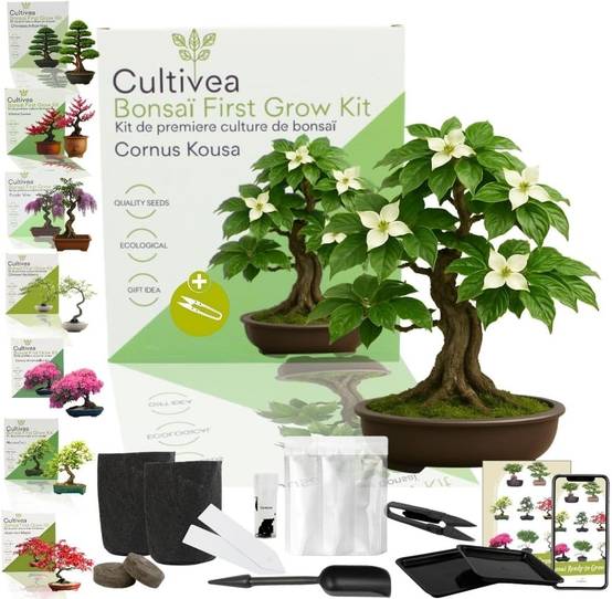 EHJRE Plantes en Pot pour Maison de Poupée, Fleurs de Maison de Poupée, Simulation de Roses, Modèle de Fleur en Pot pour Décor de Paysage Miniature 1/6 1/12, Rouge EHJRE Plantes en Pot pour Maison de Poupée, Fleurs de Maison de Poupée, Simulation de Roses, Modèle de Fleur en Pot pour Décor de Paysage Miniature 1/6 1/12, Rouge