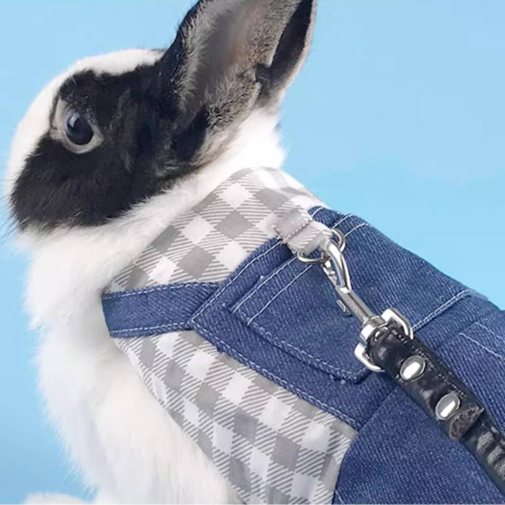 Harnais pour lapin et chat m - IntiMeg - Image 5