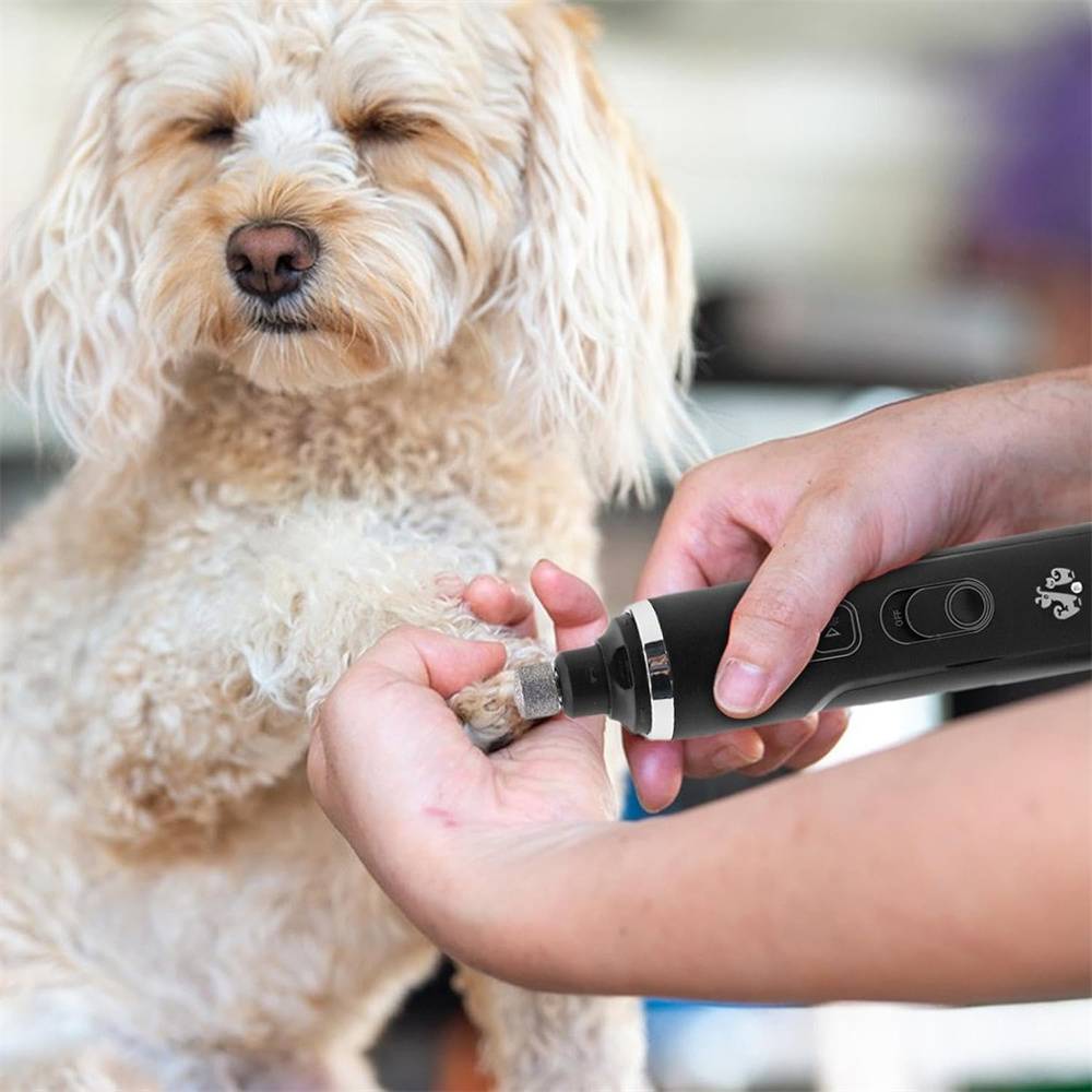 Broyeur à ongles électrique pour chien DtopbuyAge - Image 5