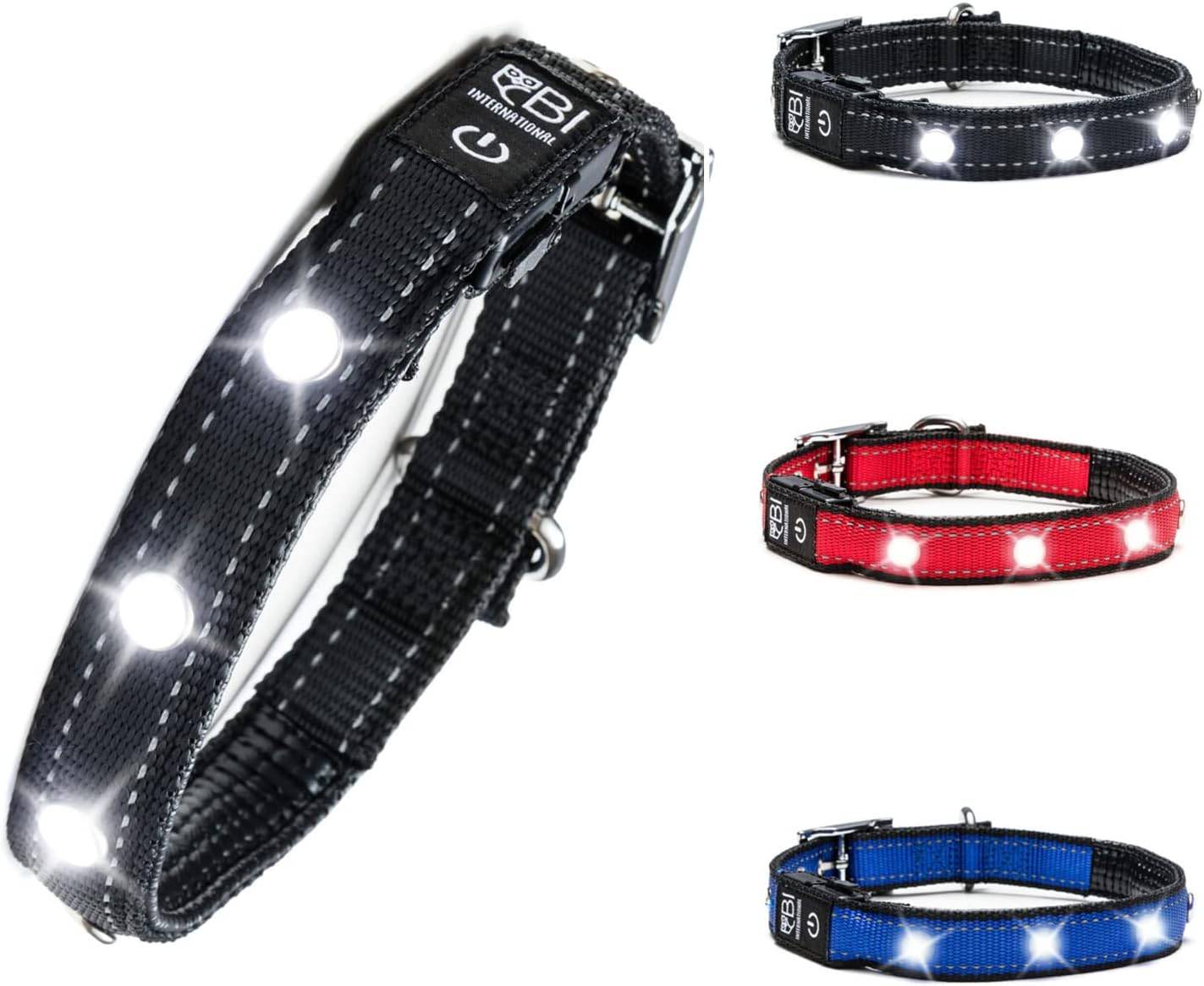 Bi International - Collier Lumineux pour Chien - Rechargeable par USB - Nylon renforcé - Haute Qualité, Stabilité & Sécurité (noir, S) - BI International - Image 1