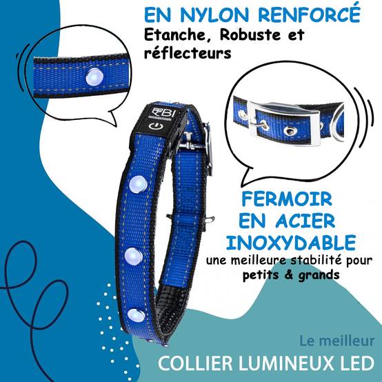 Bi International - Collier Lumineux pour Chien - Rechargeable par USB - Nylon renforcé - Haute Qualité, Stabilité & Sécurité (noir, S) - BI International - Image 2