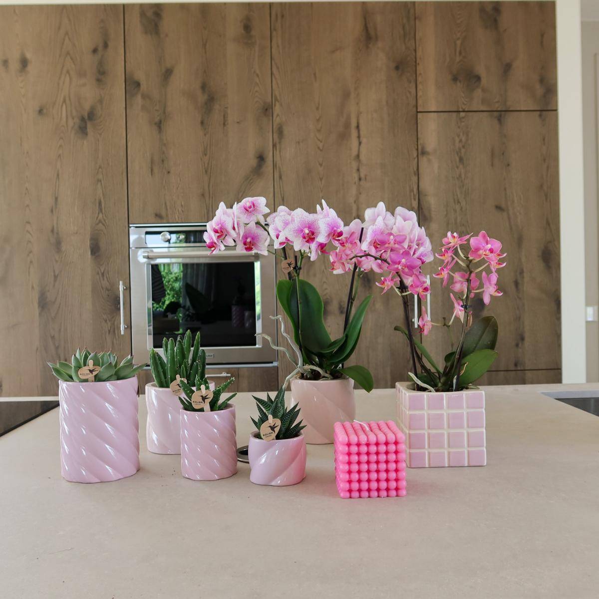 Pot décoratif Mosa Pink- La Green Touch - Image 7