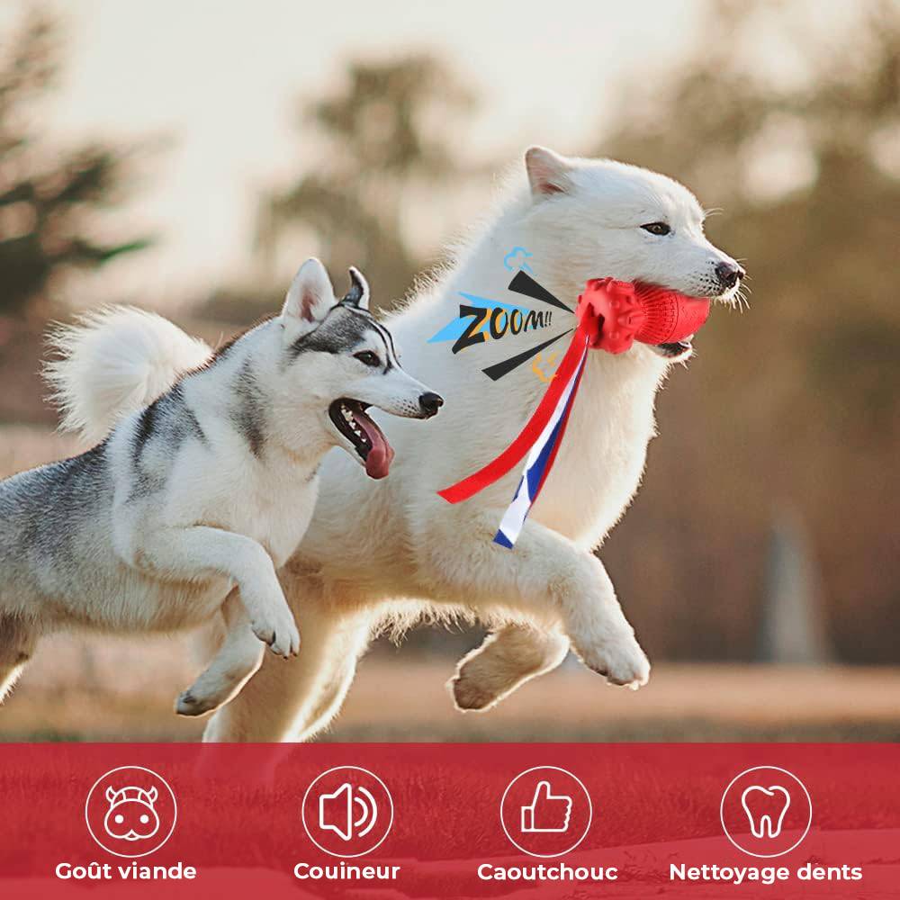 Petsation - Jouet rouge en latex à mâcher robuste et résistant pour moyens et grands chiens - Petsation - Image 3