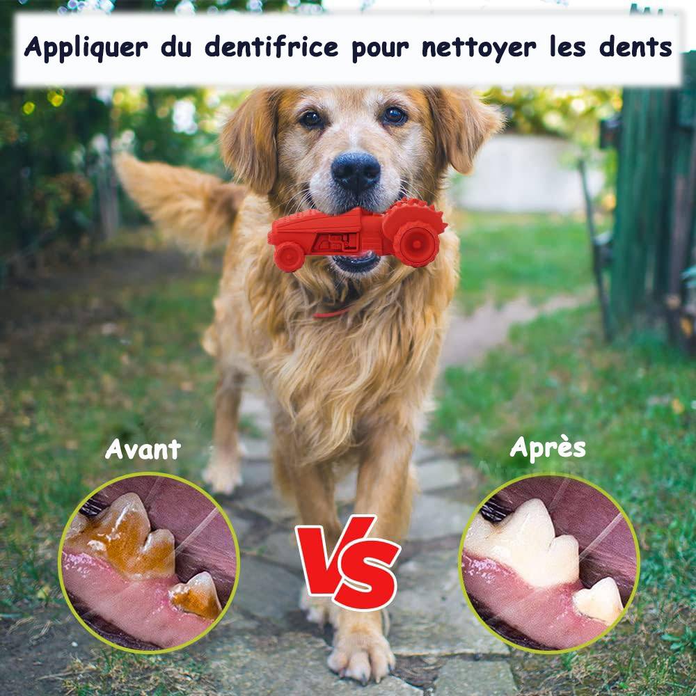 Petsation - Jouet rouge en latex à mâcher robuste et résistant pour moyens et grands chiens - Petsation - Image 4