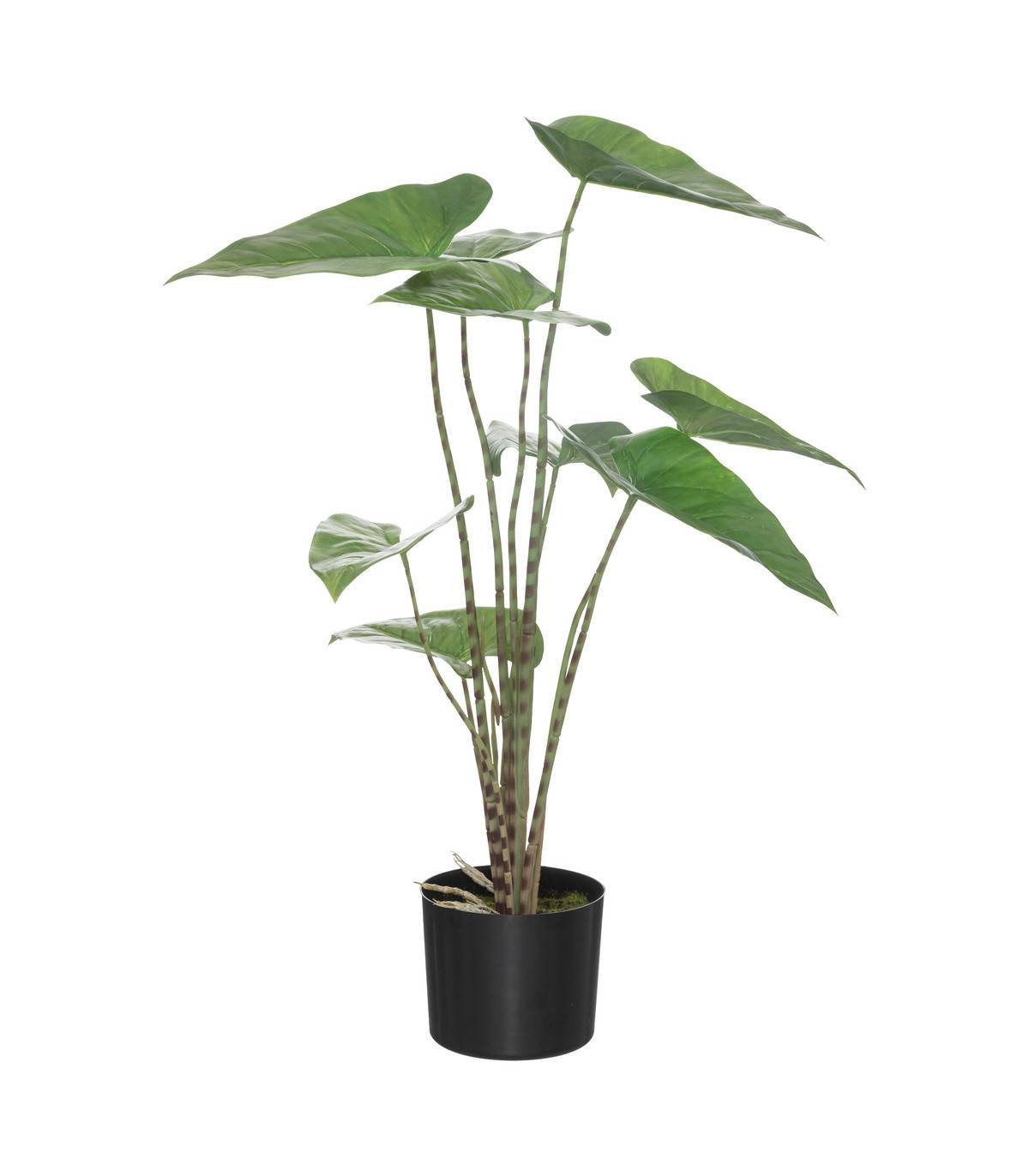 Plante artificielle Zebrina en pot H 74 cm - Image 1