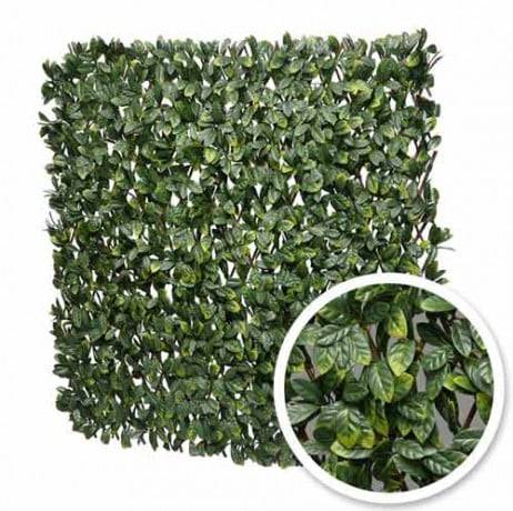 James Grass - France Green - Treillis extensible feuilles de laurier amande - Long 6 m, Hauteur 2 m - Image 1
