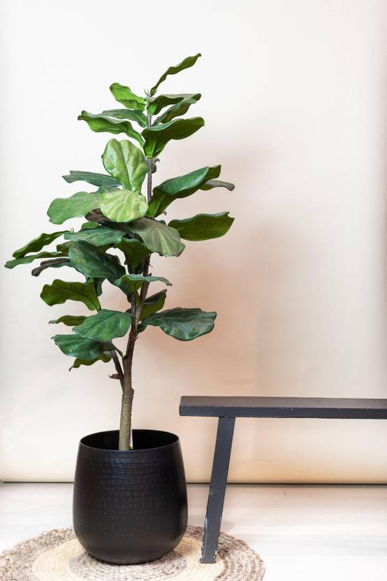 Ficus Lyrata plante artificielle h125cm, Ø14cm- La Green Touch - Image 4