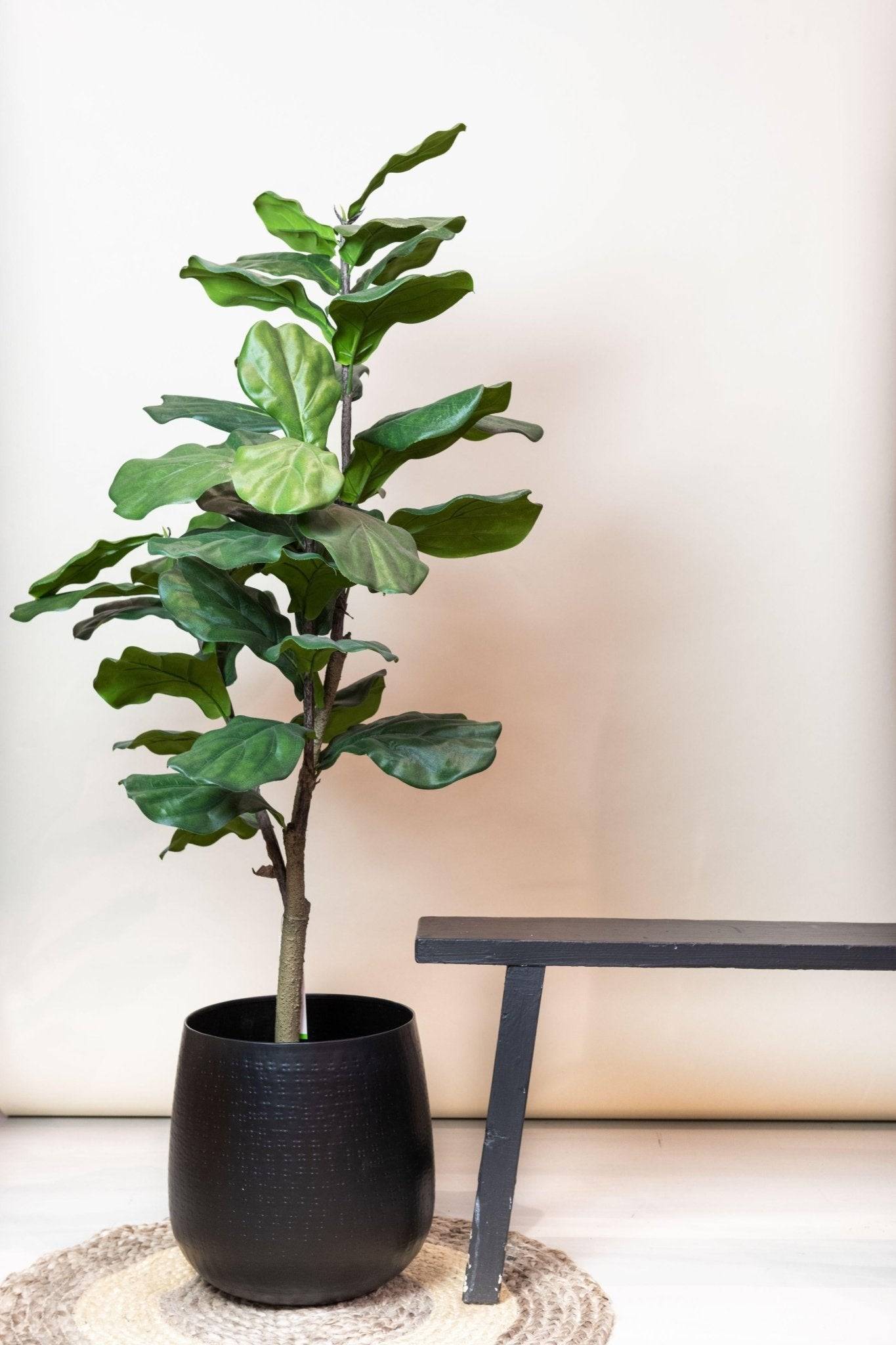 Ficus Lyrata plante artificielle h125cm, Ø14cm- La Green Touch - Image 4