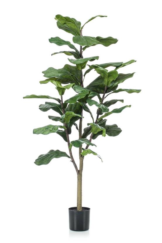 Ficus Lyrata plante artificielle h125cm, Ø14cm- La Green Touch - Image 5