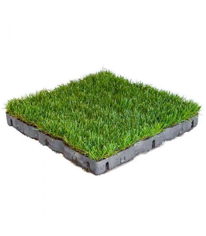 Dalle gazon verte 4cm 4 plaques pour stabilisation du sol 10m² RACINE F-AME060-10x1 - Image 1