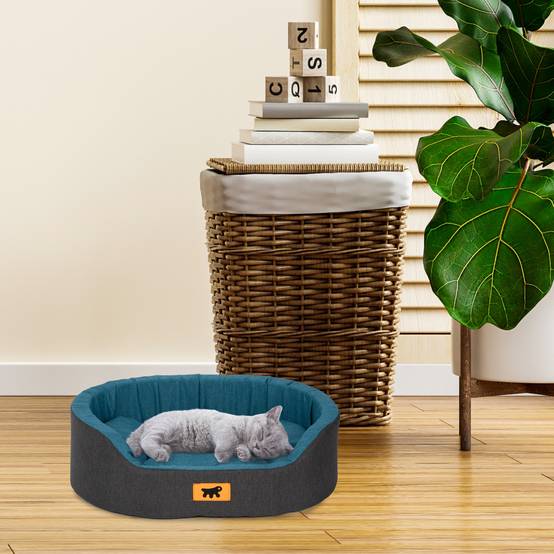 Ferplast - Ferplast Panier Chien Dandy, Coussin Amovible et Lavable, Housse en Coton avec Rembourrage Doux, Idéale Également comme Niche pour Chat, 45 x 35 x H - Image 3