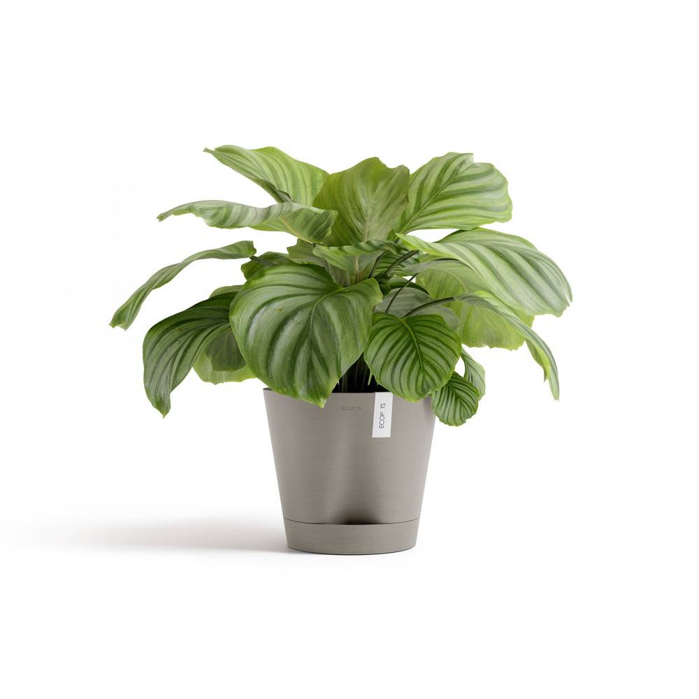 Ecopots - Pot Rond Venice 2 Taupe + réservoir d'eau - Ø 30 x H. 26,3 cm - 4 L ECOPOTS - Image 2