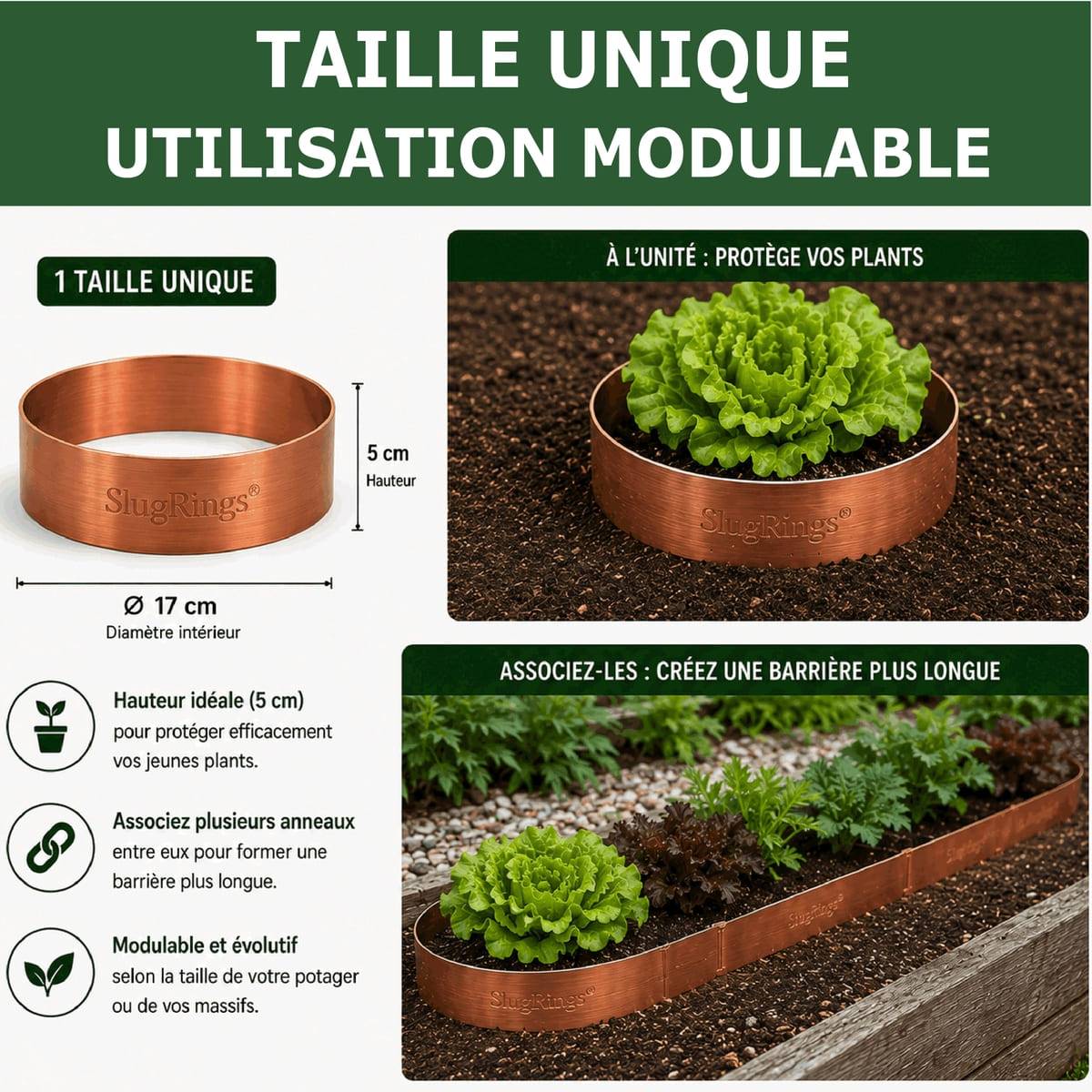 Tout pour les nuisibles - 6 Anneaux de Cuivre Anti-Limaces et Escargots SOLU'LIMACES – Ø17 cm - Protection des Salades, Fraisiers, Aromatiques, Potager et Fleurs - Image 5