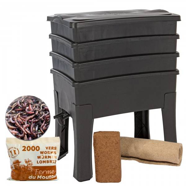 Lombricomposteur Worm Café 3 plateaux Noir + 1kg de Vers - Image 1