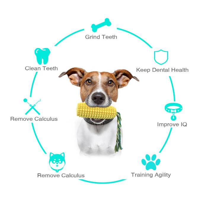 Jouet Maïs Réaliste pour Chien - Résistant et Sonore-Living123 - Image 2
