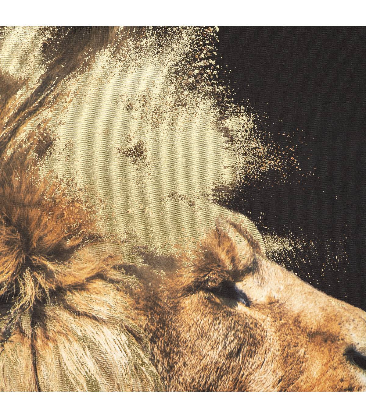 Tableau Toile murale imprimée et encadrée Lion 60 x 90 cm - Image 3