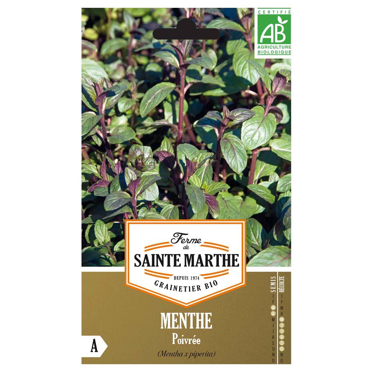 Promesse de Fleurs - Menthe poivrée Bio - Ferme de Sainte Marthe le sachet de 1500 graines environ (0,1g)
