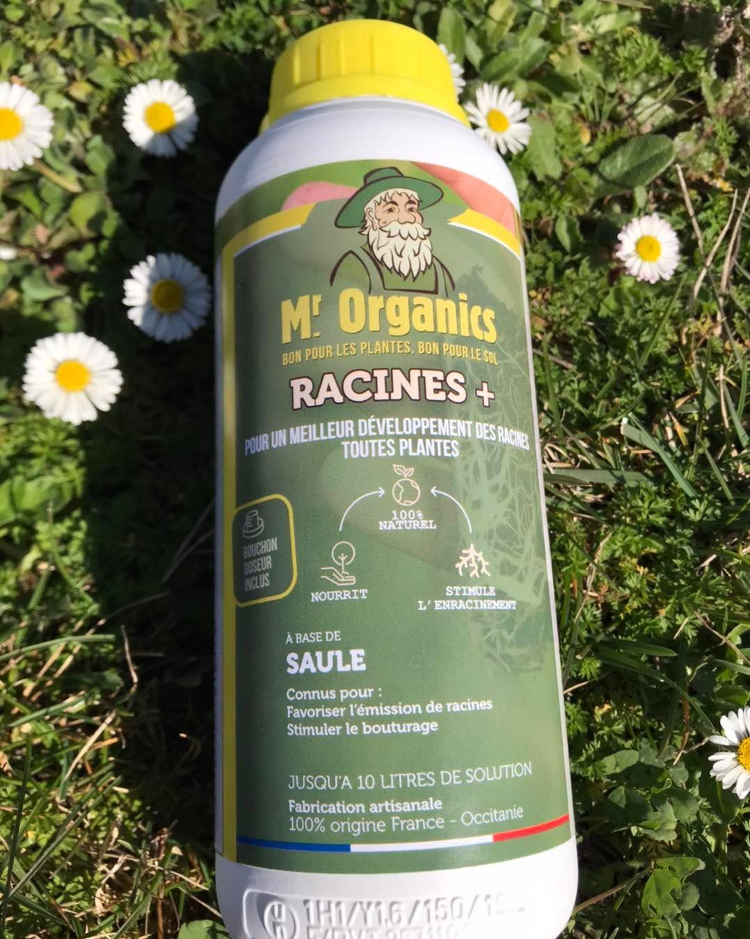 Racines + Ecorces de Saule - Image 1