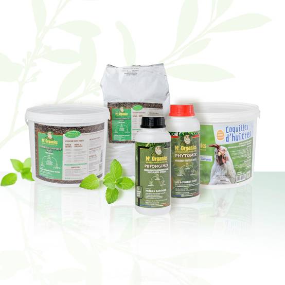 Racines + Ecorces de Saule - Image 2