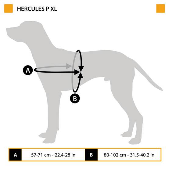 Ferplast - Harnais pour Chiens HERCULES EXTRA LARGE, Rembourré, Résistant, Anti-griffures, Visible dans l'Obscurité, avec Poignée - Image 2