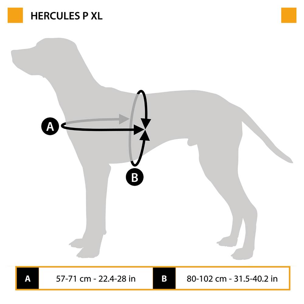 Ferplast - Harnais pour Chiens HERCULES EXTRA LARGE, Rembourré, Résistant, Anti-griffures, Visible dans l'Obscurité, avec Poignée - Image 2