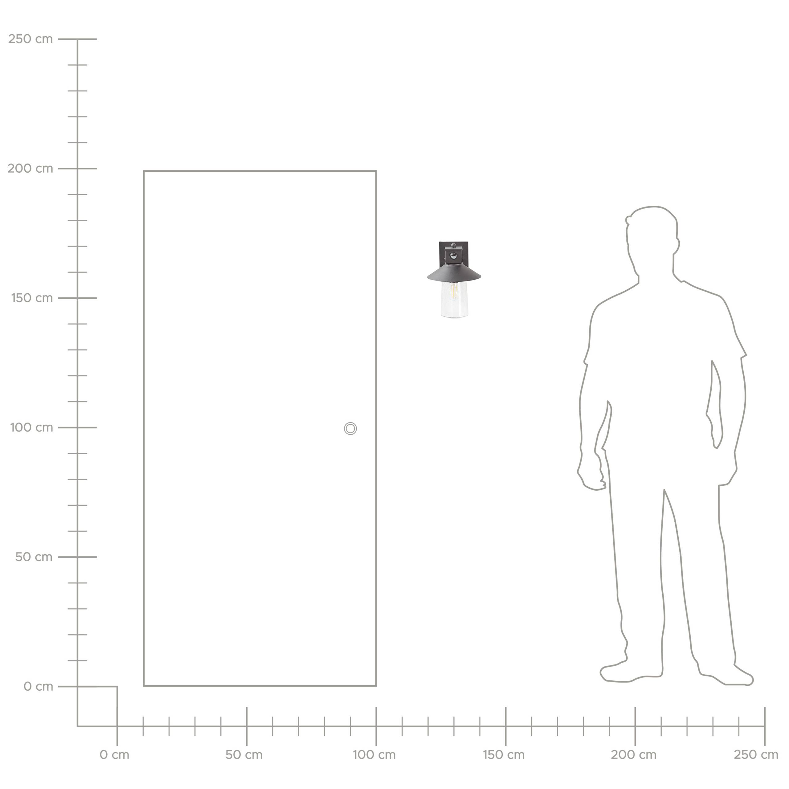 Beliani - Applique Murale d'Extérieur Noire en Métal et Verre avec Capteur de Mouvement Protégé Contre les Particules de plus de 1 mm Usage Jardin - Image 8